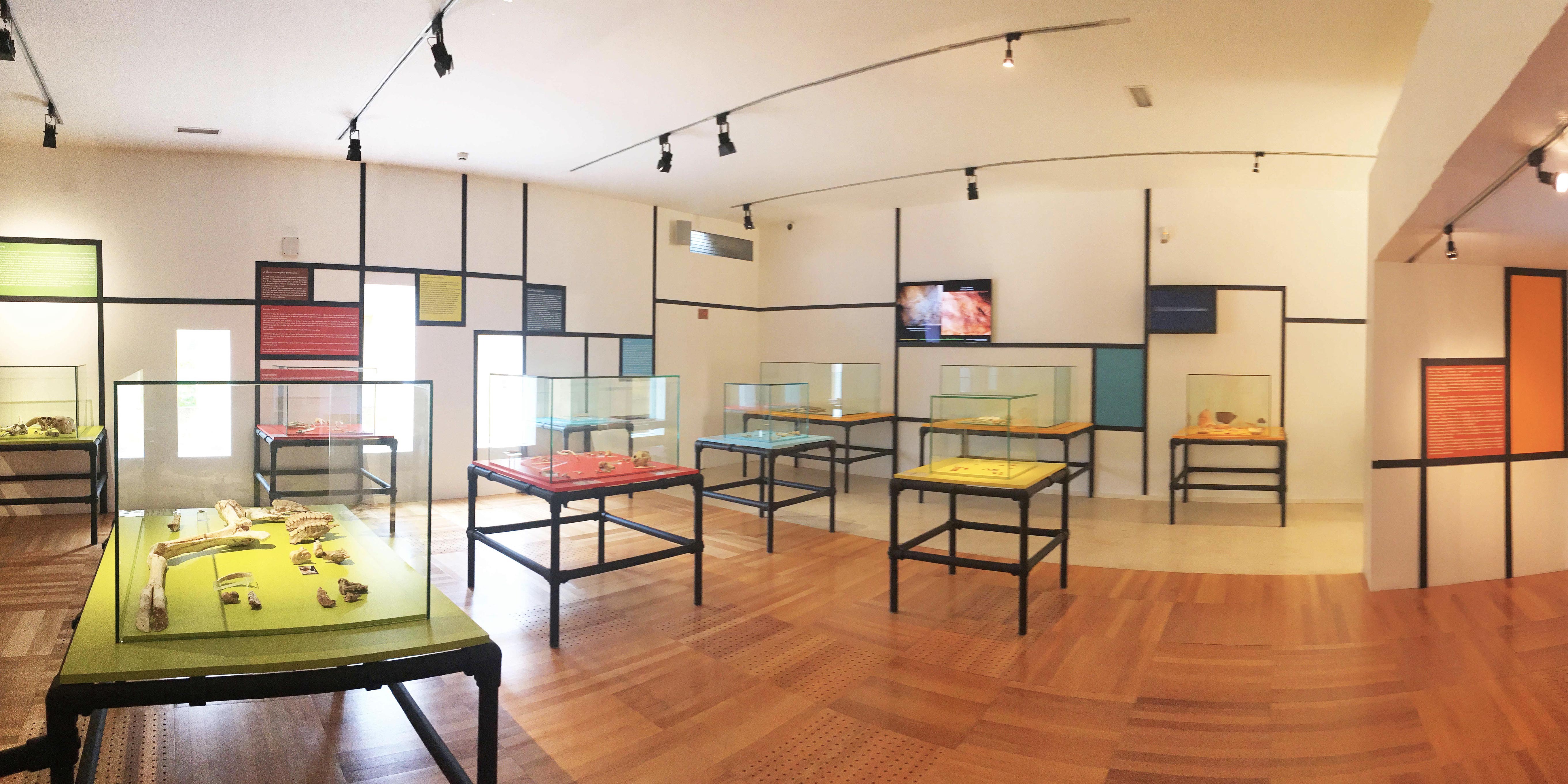 Temporary exhibition room