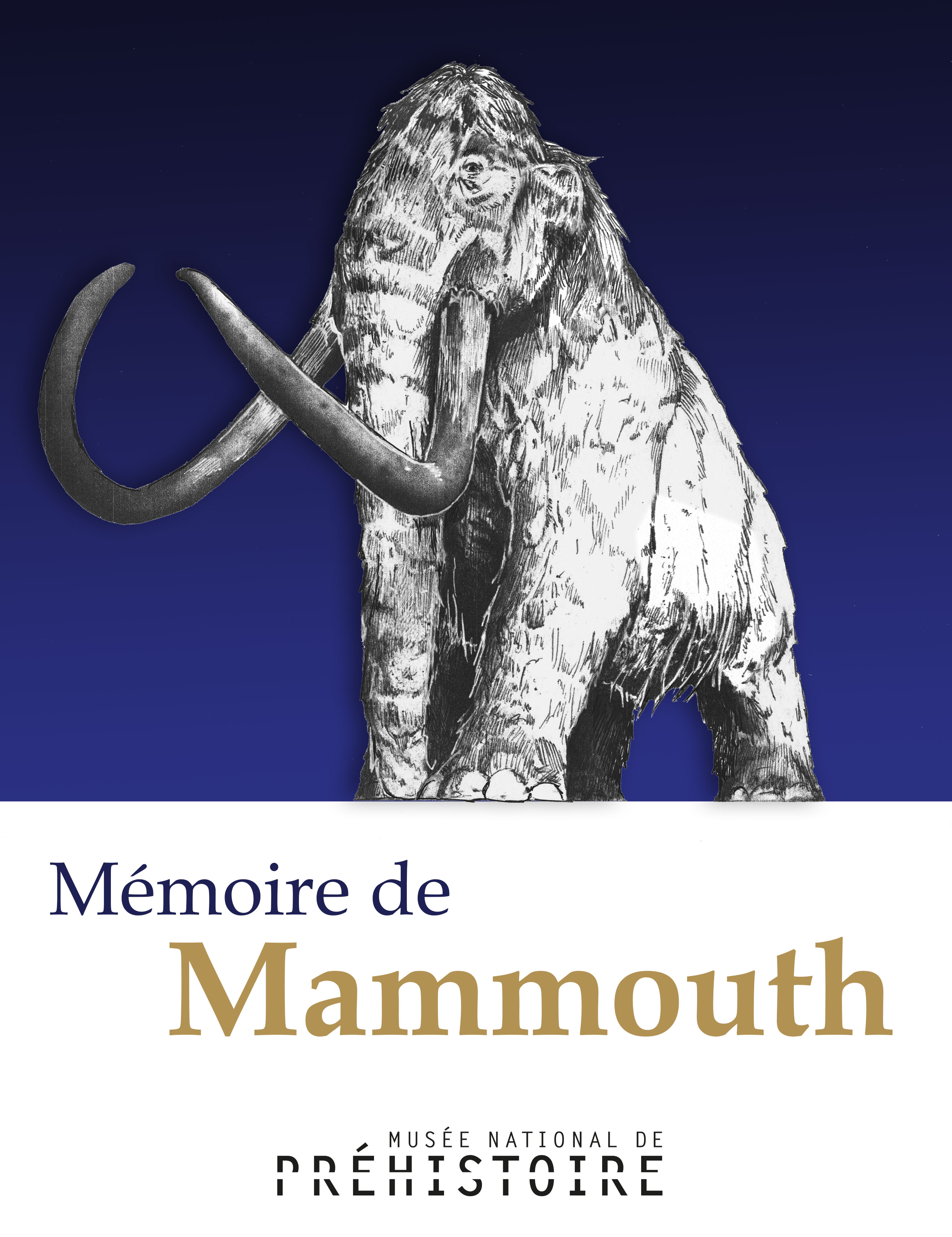 couverture_-memoire-mammouth.jpg
