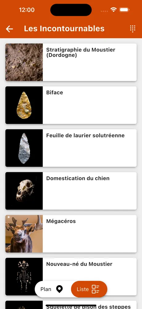 ecran-application-MNP