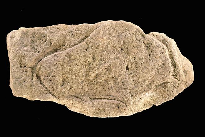 Bison gravé sur bloc calcaire, Abri des Jamblancs (Bourniquel, Dordogne), Magdalénien