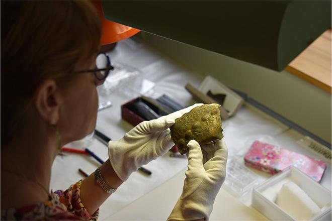 Professeur Dr. Anne Lehoërff