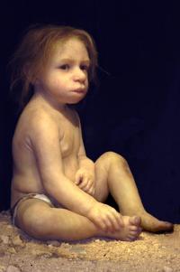 Dermoplastie de l'enfant Néandertalien du Roc de Marsal