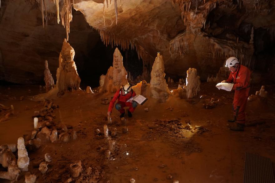 Conférence 21 janvier 2023