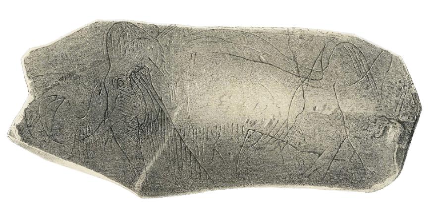 Mammouth de La Madeleine