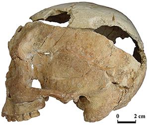 Media Name: crane-web.jpg