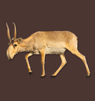 Media Name: cycle-conferences-2019.png