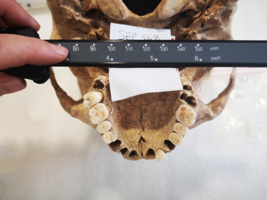 Media Name: img_conf-samra_250ppp.jpg