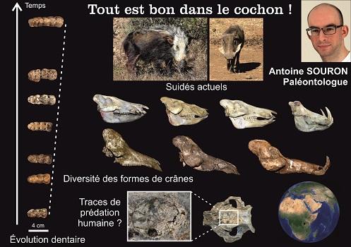 Media Name: visuel_samra.jpg