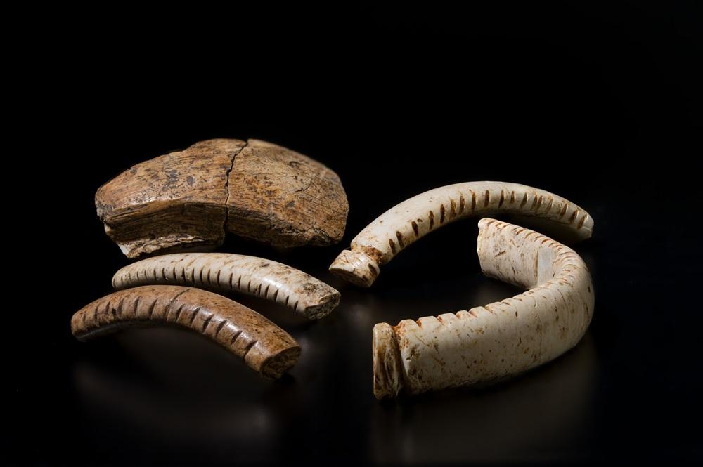 illu la vie au grand air - decouverte