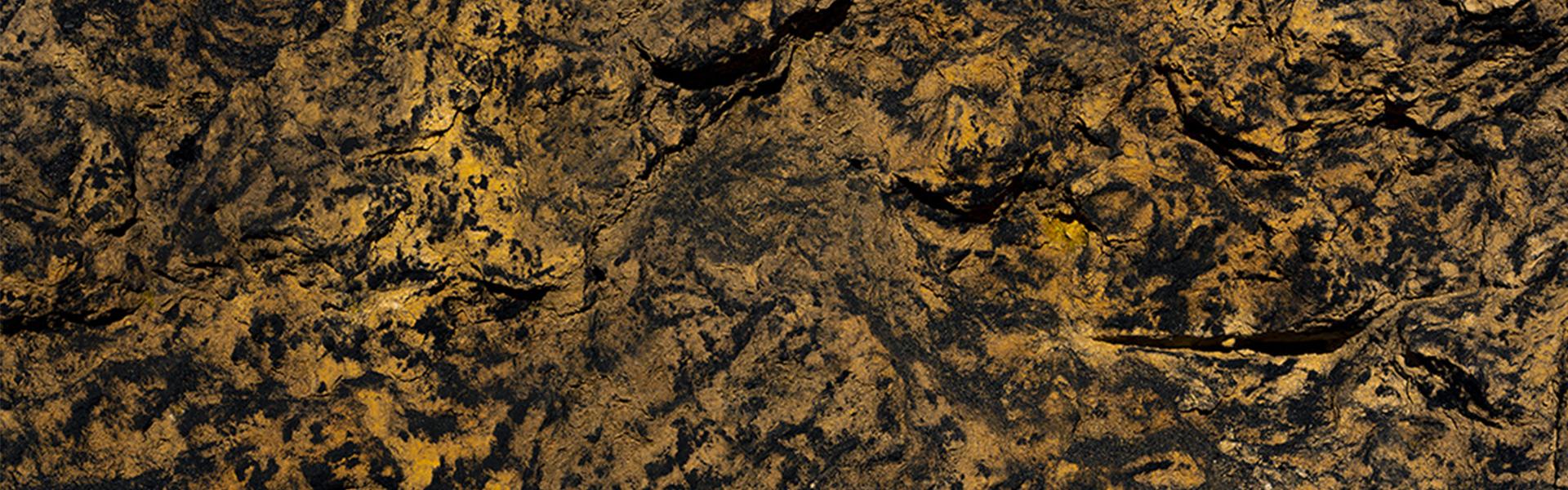 cover de l'événement Belle Journée