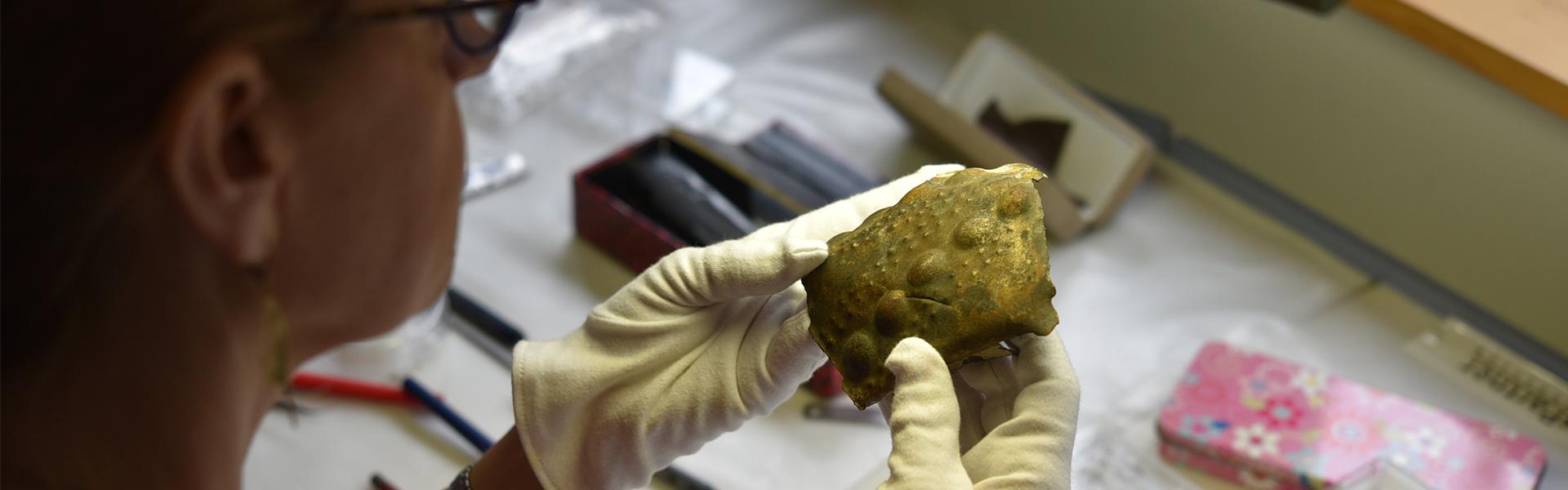 Professeur Dr. Anne Lehoërff