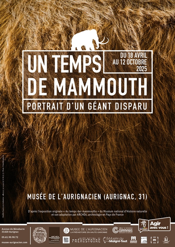 Affiche de l'exposition