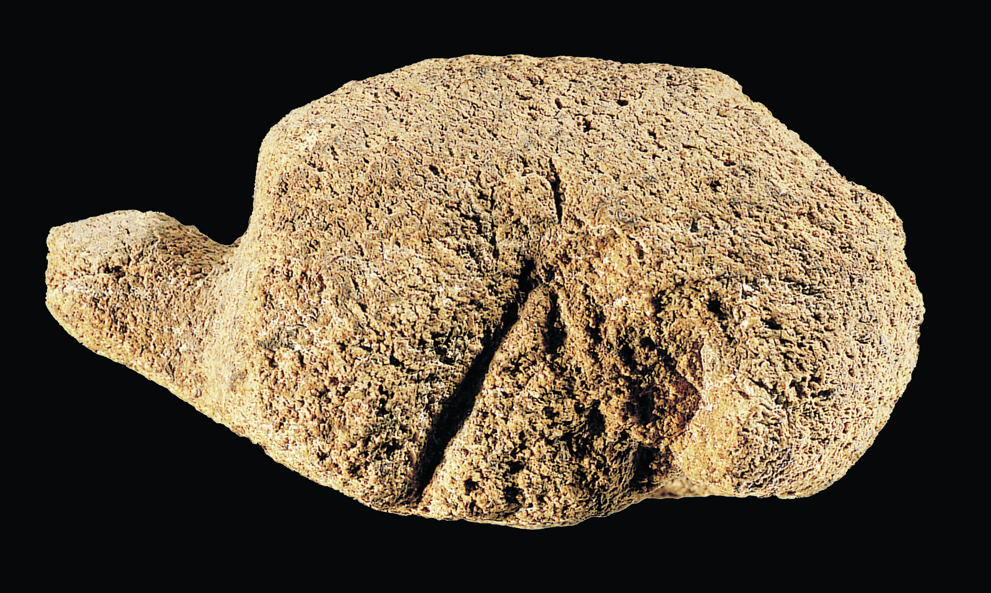 Roc de Saint- Cirq, Tortue en ronde-bosse, 9 x 5,07 x 4,49, Résine, MNP1950-4-2, calcaire