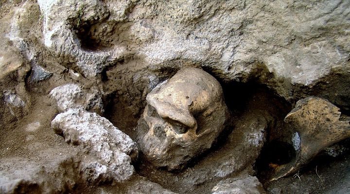 Découverte de l’un de crânes du site de Dmanissi (Géorgie)