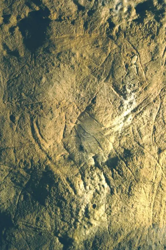 Grotte des combarelles