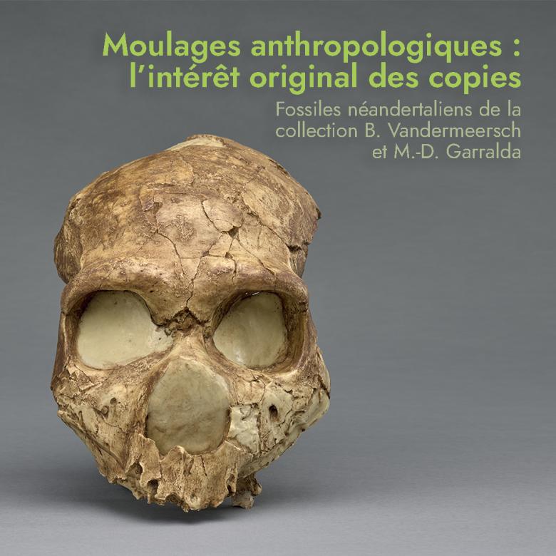 Affiche exposition Moulages anthropologiques : l'intérêt original des copies