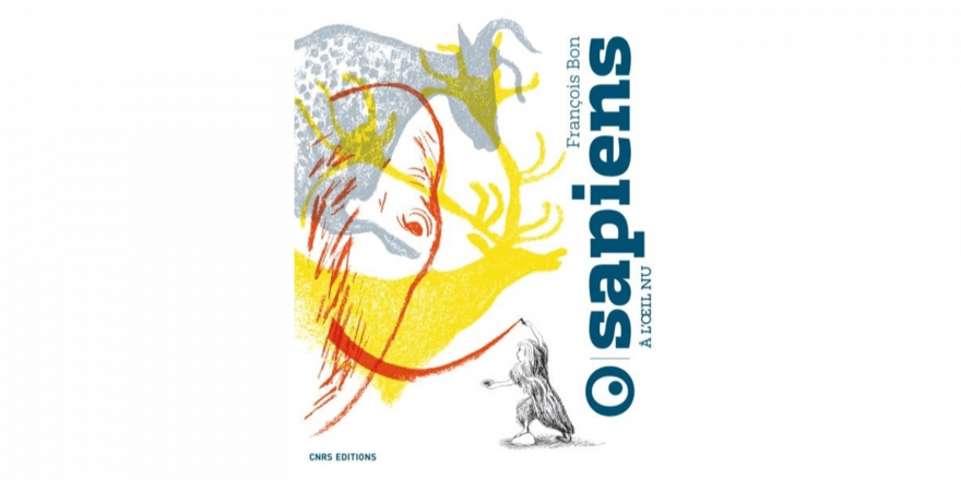 Couverture du livre Sapien à l'oeil nu 