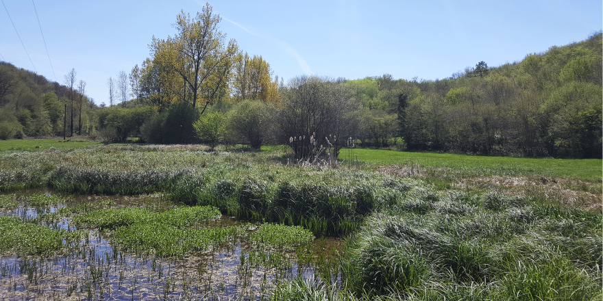 Vallée de la Beaune