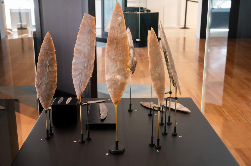 Illustration conférences des nocturnes de l'histoire