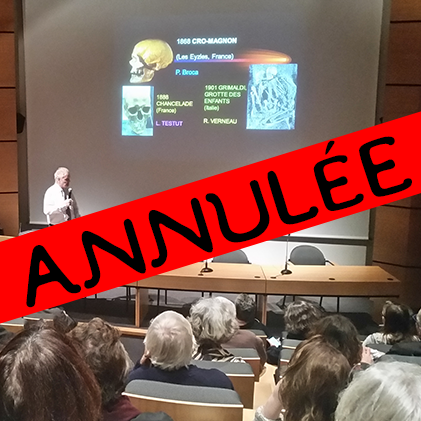 Media Name: auditorium-no.png