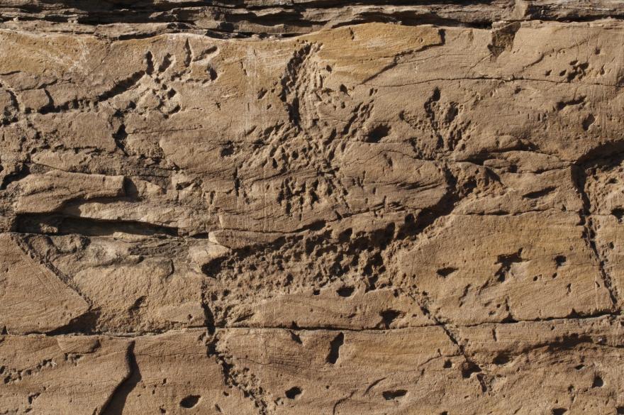 Media Name: boyar_0108.jpg