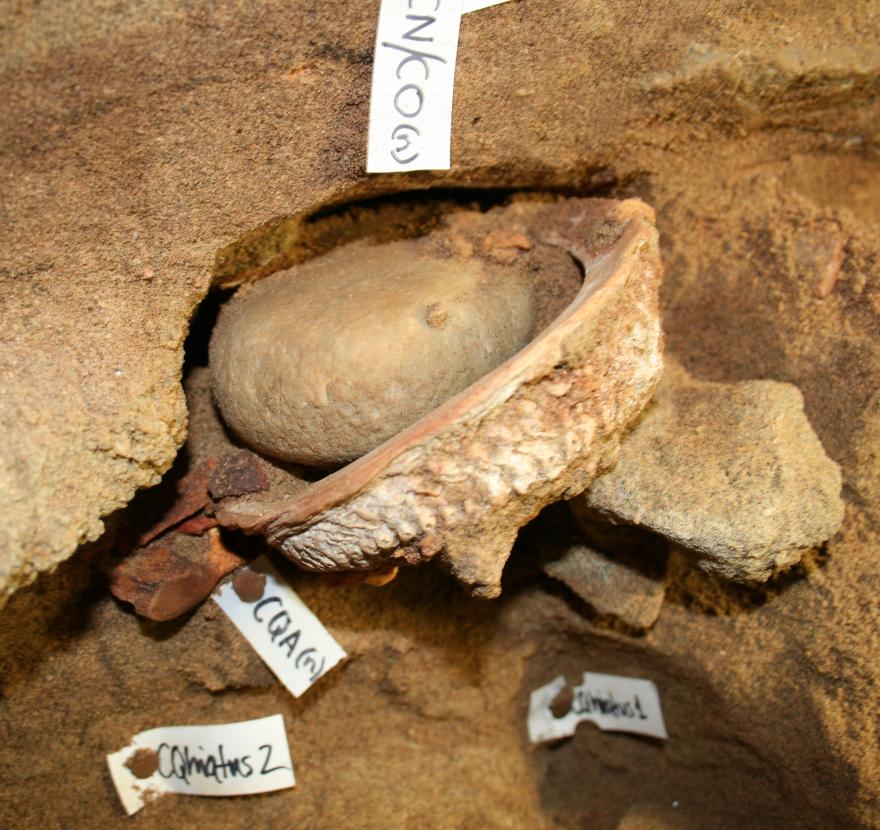 Media Name: outils_pour_la_production_et_le_stockage_de_pigments_rouges_decouverts_a_la_grotte_de_blombos_dans_des_couches_vieilles_de_100_000_ans.jpg