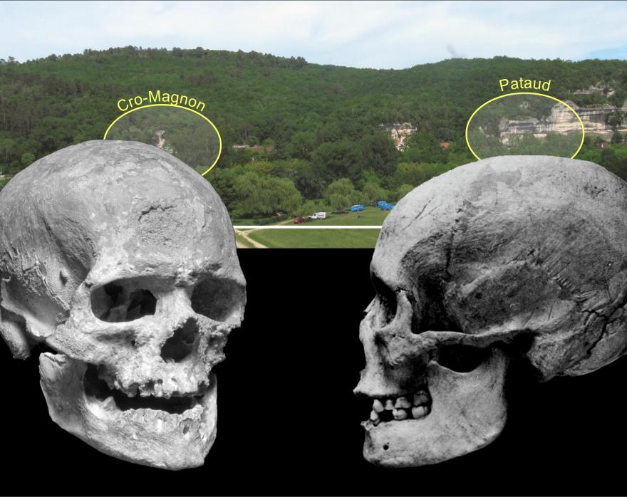 Media Name: panorama.jpg